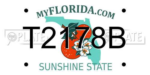 T2178B Florida License Plate