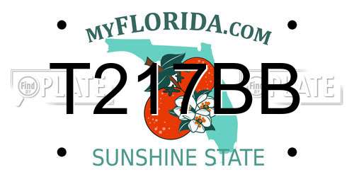 T217BB Florida License Plate