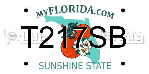 T217SB Florida License Plate