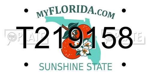 T219158 Florida License Plate