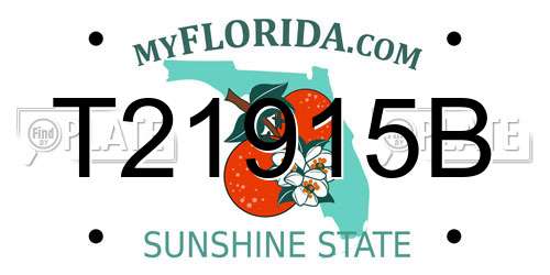T21915B Florida License Plate
