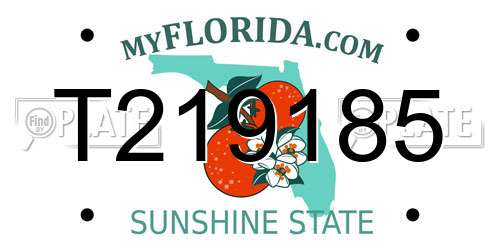 T219185 Florida License Plate