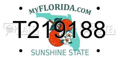 T219188 Florida License Plate