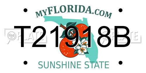 T21918B Florida License Plate