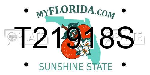 T21918S Florida License Plate