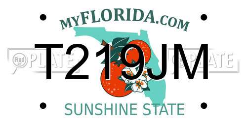 T219JM Florida License Plate