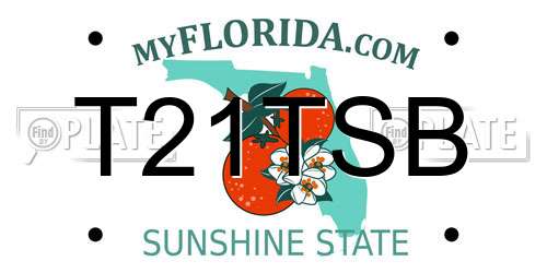 T21TSB Florida License Plate