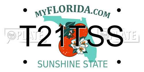 T21TSS Florida License Plate