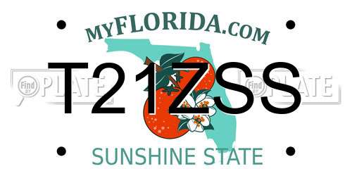 T21ZSS Florida License Plate