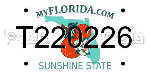 T220226 Florida License Plate