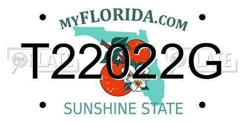 T22022G Florida License Plate