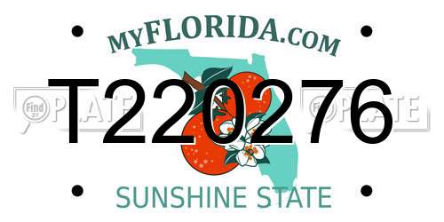 T220276 Florida License Plate