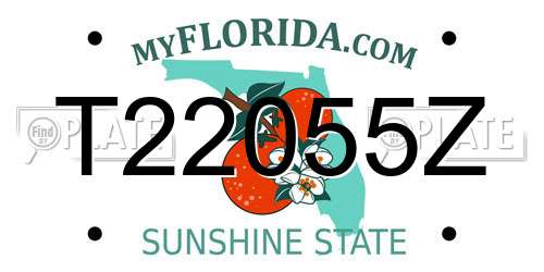 T22055Z Florida License Plate