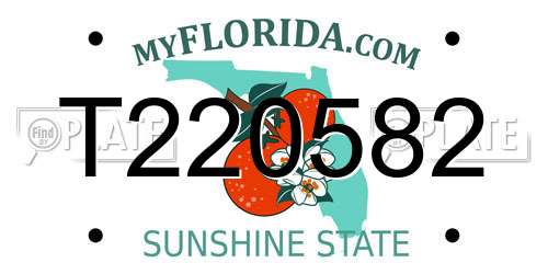 T220582 Florida License Plate