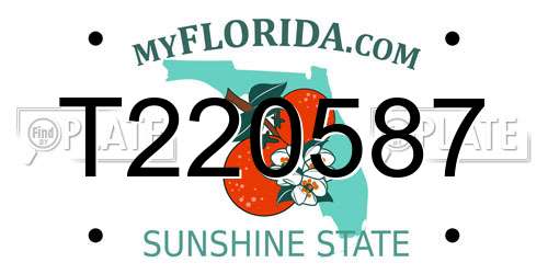 T220587 Florida License Plate