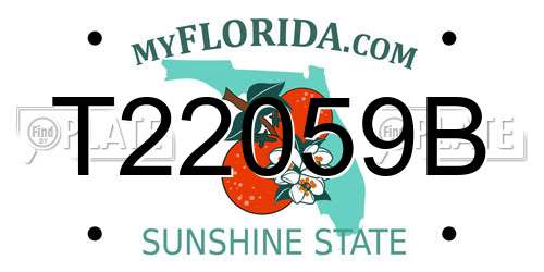 T22059B Florida License Plate