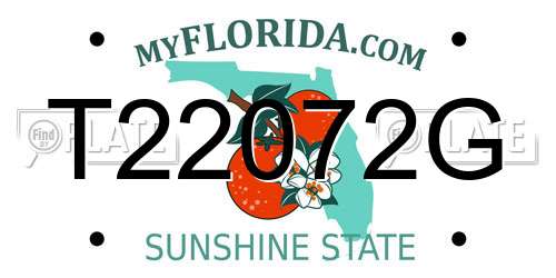 T22072G Florida License Plate