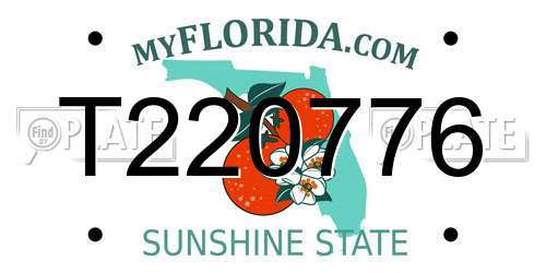 T220776 Florida License Plate