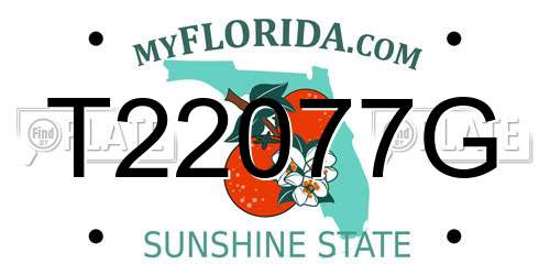 T22077G Florida License Plate