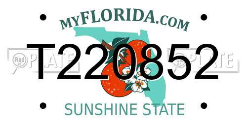 T220852 Florida License Plate