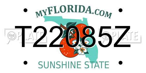 T22085Z Florida License Plate