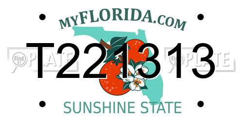 T221313 Florida License Plate