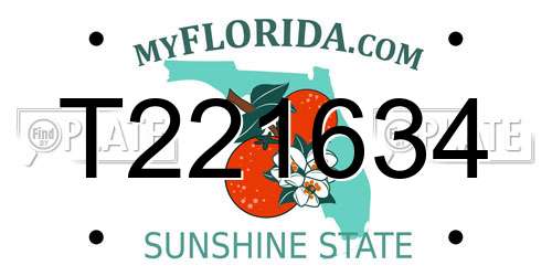 T221634 Florida License Plate