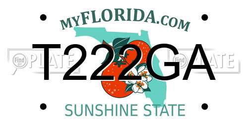 T222GA Florida License Plate