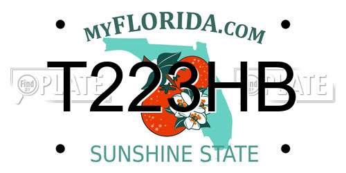 T223HB Florida License Plate
