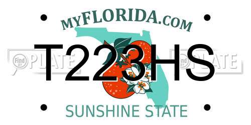 T223HS Florida License Plate