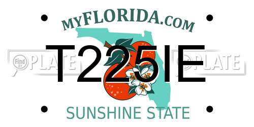 T225IE Florida License Plate
