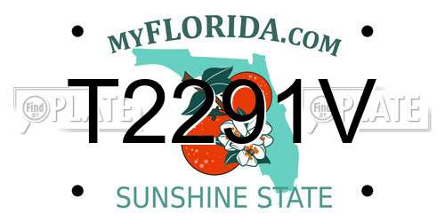 T2291V Florida License Plate