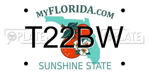 T22BW Florida License Plate