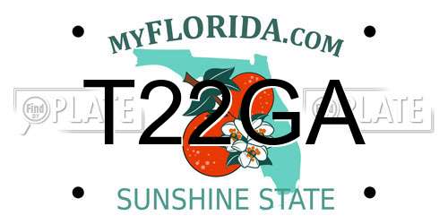 T22GA Florida License Plate