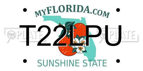 T22LPU Florida License Plate
