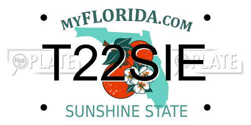 T22SIE Florida License Plate
