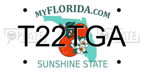 T22TGA Florida License Plate