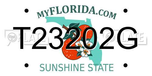 T23202G Florida License Plate