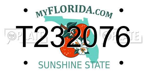 T232076 Florida License Plate