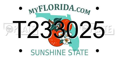 T233025 Florida License Plate