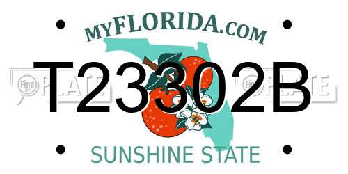 T23302B Florida License Plate