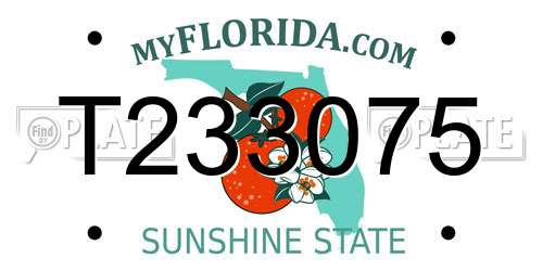 T233075 Florida License Plate