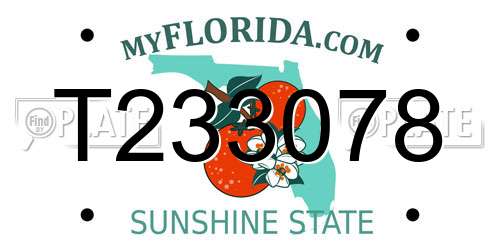 T233078 Florida License Plate