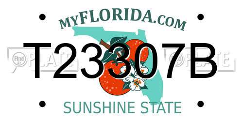 T23307B Florida License Plate