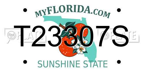 T23307S Florida License Plate