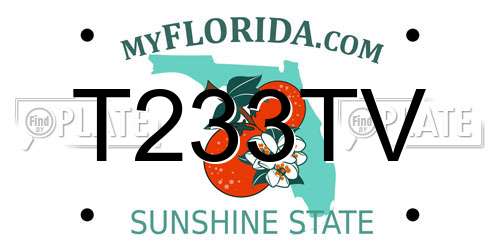 T233TV Florida License Plate