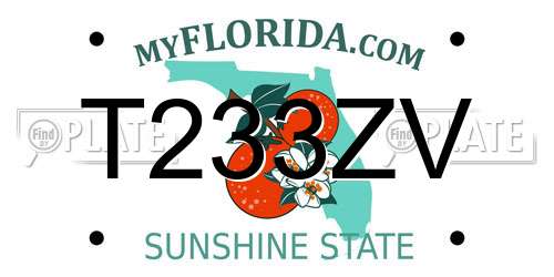 T233ZV Florida License Plate