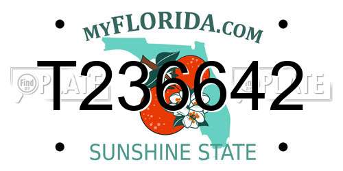 T236642 Florida License Plate