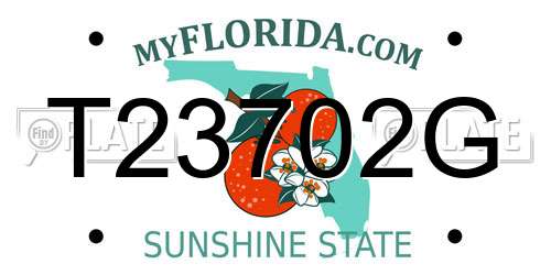 T23702G Florida License Plate