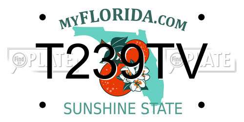 T239TV Florida License Plate